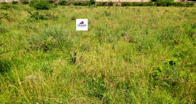 15-Acre Garden Land with Parking - KSh 85M