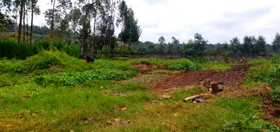 Half Acre Garden Plot at KSh 39M