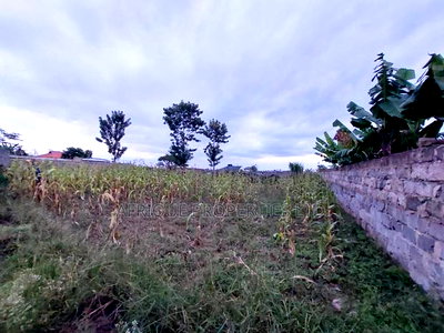 Malaba Residential Plot 50by 100 for Sale - Image 2