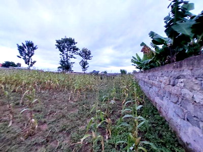 Malaba Residential Plot 50by 100 for Sale - Image 1