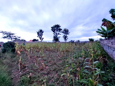 Malaba Residential Plot 50by 100 for Sale - Image 3