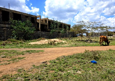 50x100 Pet Friendly Plot in Ngong
