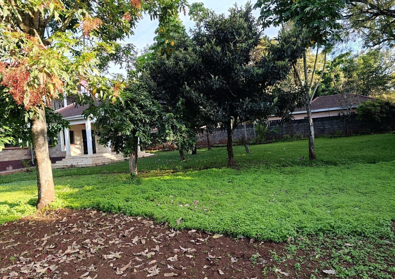 5-Bed Townhouse with Library & Fireplace on ¾-Acre – Karen