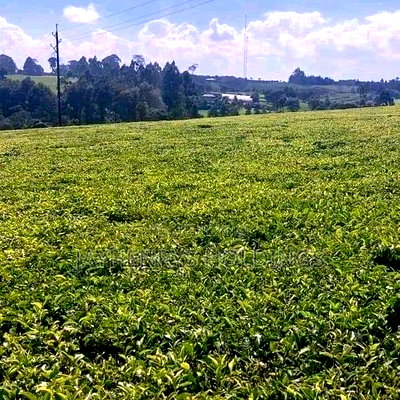 12.5 Acres for Sale in Riara Ridge,Tigoni at Kes 225m - Image 8