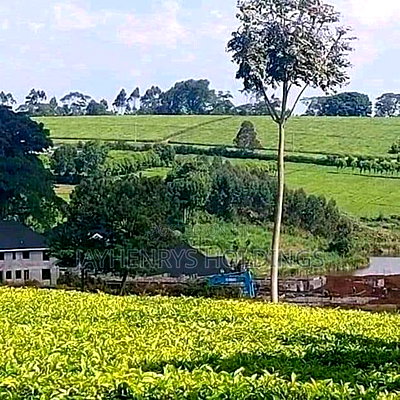 12.5 Acres for Sale in Riara Ridge,Tigoni at Kes 225m - Image 1