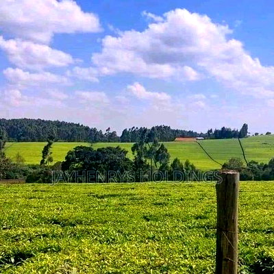 12.5 Acres for Sale in Riara Ridge,Tigoni at Kes 225m - Image 7