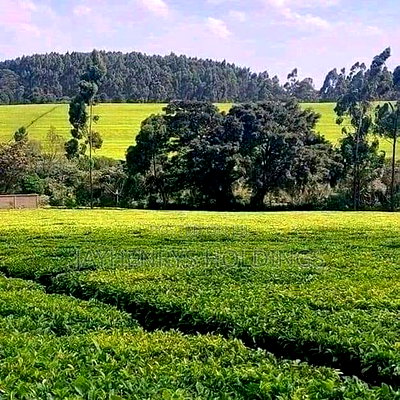 12.5 Acres for Sale in Riara Ridge,Tigoni at Kes 225m - Image 4