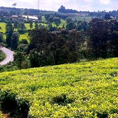 12.5 Acres for Sale in Riara Ridge,Tigoni at Kes 225m - Image 3