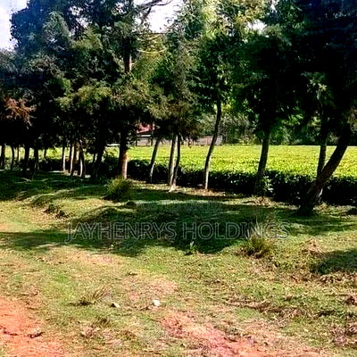 12.5 Acres for Sale in Riara Ridge,Tigoni at Kes 225m - Image 5