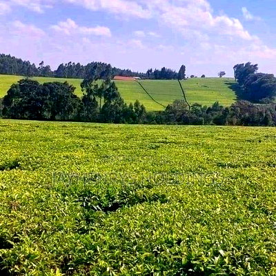 12.5 Acres for Sale in Riara Ridge,Tigoni at Kes 225m - Image 9