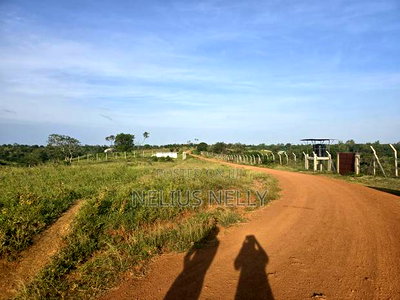 1acre Land for Mtwapa Near Creek - Image 5