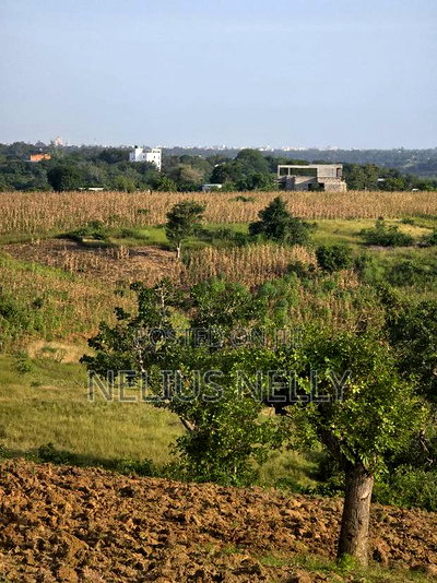 1acre Land for Mtwapa Near Creek - Image 2