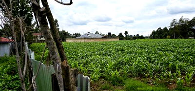 Prime Plots for Sake in Outspan Eldoret - Image 4