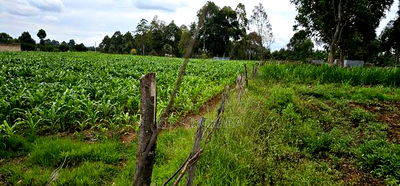 Prime Plots for Sake in Outspan Eldoret - Image 7