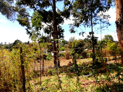 50x100 Residential Plot for Sale in Kikuyu Kamangu - Image 3