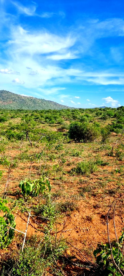 10 Acres Nkorika at 600k Per Acre - Image 6