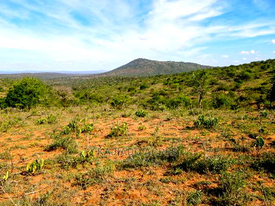 10 Acres Nkorika at 600k Per Acre - Image 2