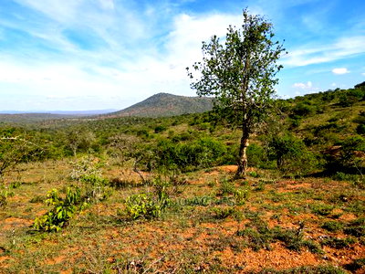 10 Acres Nkorika at 600k Per Acre - Image 1