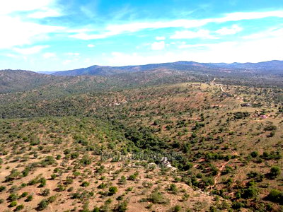 10 Acres Nkorika at 600k Per Acre - Image 4