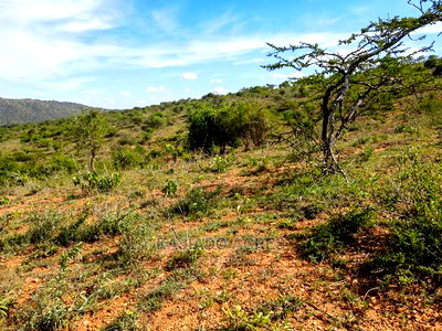 10 Acres Nkorika at 600k Per Acre - Image 5