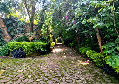 KSh 285M Corner Plot in Hurlingham