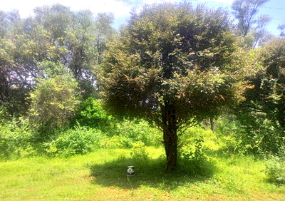 9-Acre Estate Development Land in Karen