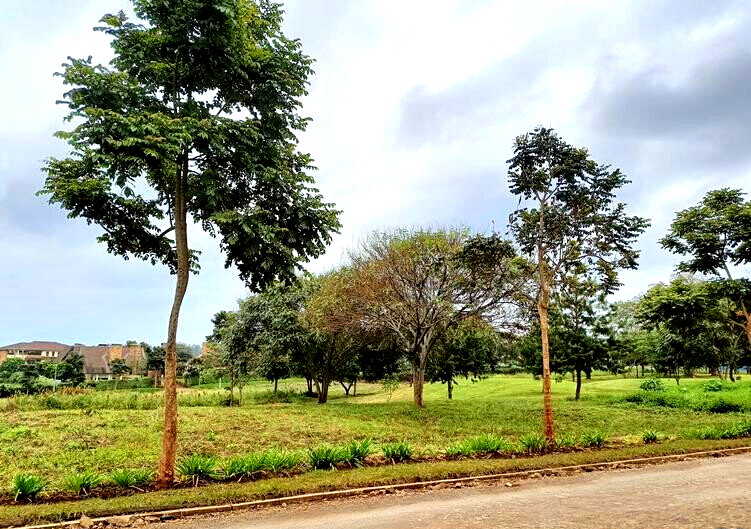 KSh 10M Migaa Golf Estate Plot