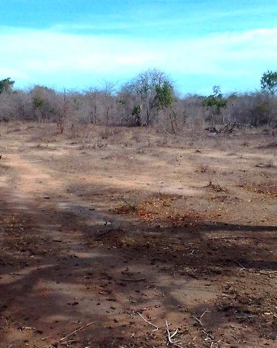 8.5-Acre Land in Malindi for KSh 1.8M