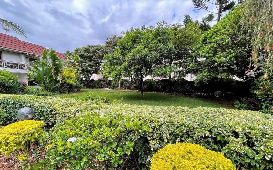 5-Acre Kileleshwa Plot for KSh 200M