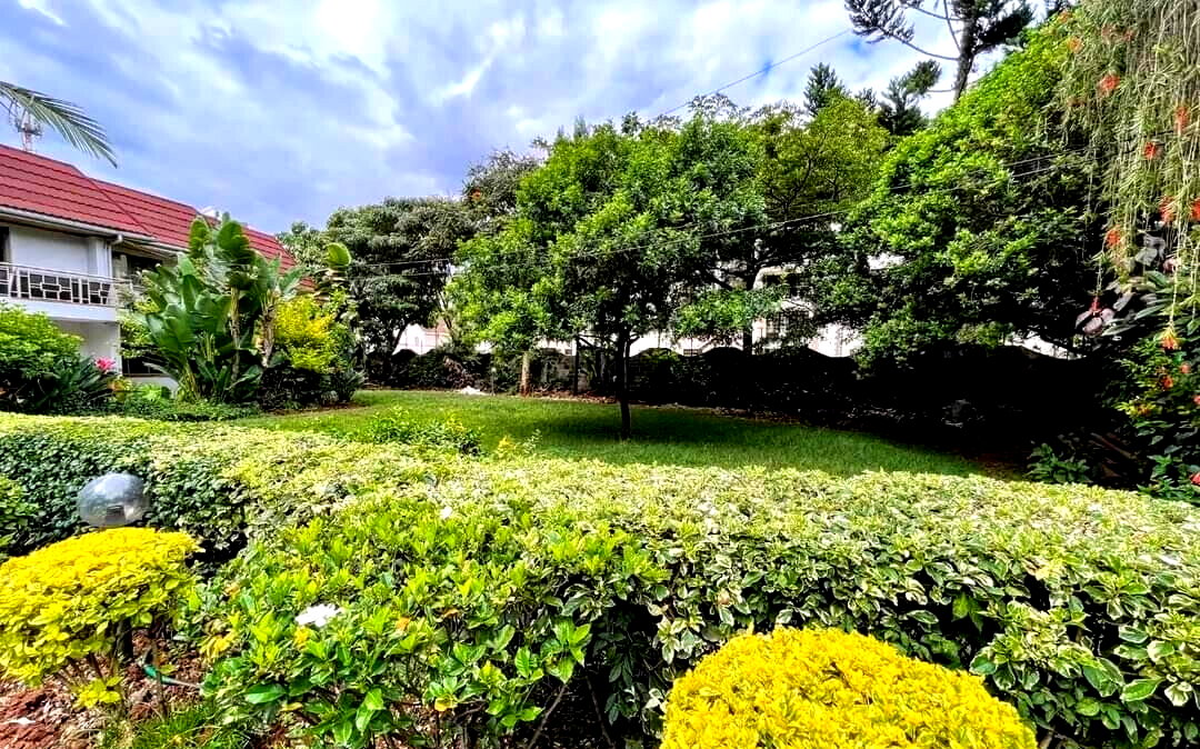 5-Acre Kileleshwa Plot for KSh 200M