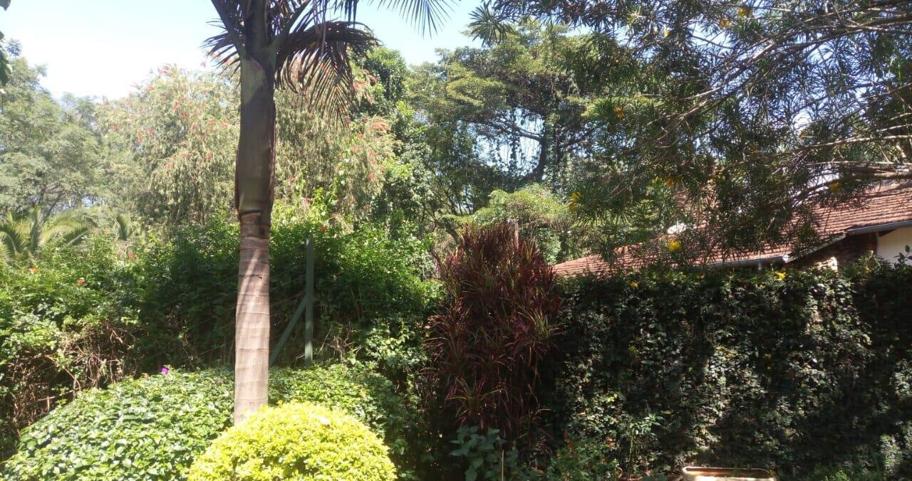 50x100 Garden Home at KSh 270K