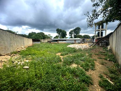 Prime Land in Diani Near Diani Airport - Image 3
