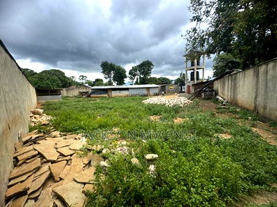 Prime Land in Diani Near Diani Airport - Image 2