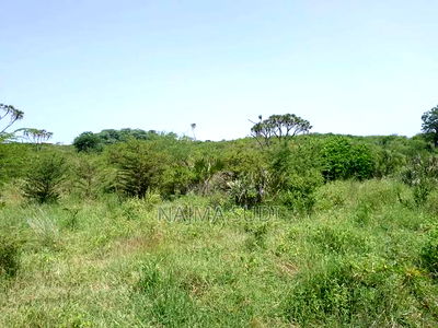 Plot for Sale Dongokundu 22 Acre - Image 3