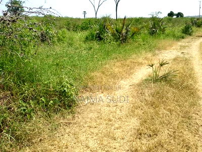 Plot for Sale Dongokundu 22 Acre - Image 2