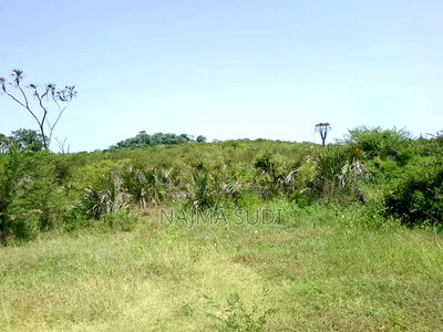 Plot for Sale Dongokundu 22 Acre - Image 4