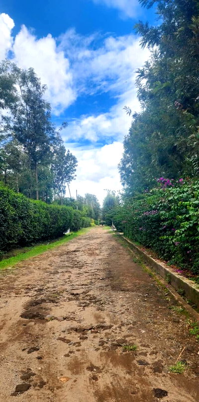 Half Acre Plot with Bungalows at KSh 25M