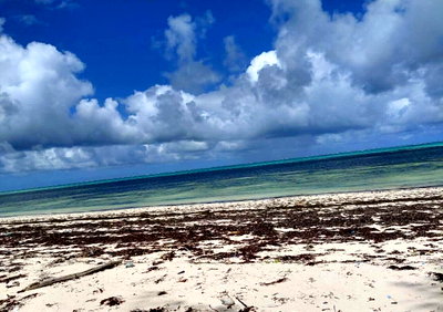 12-Acre Beachfront Property for Sale