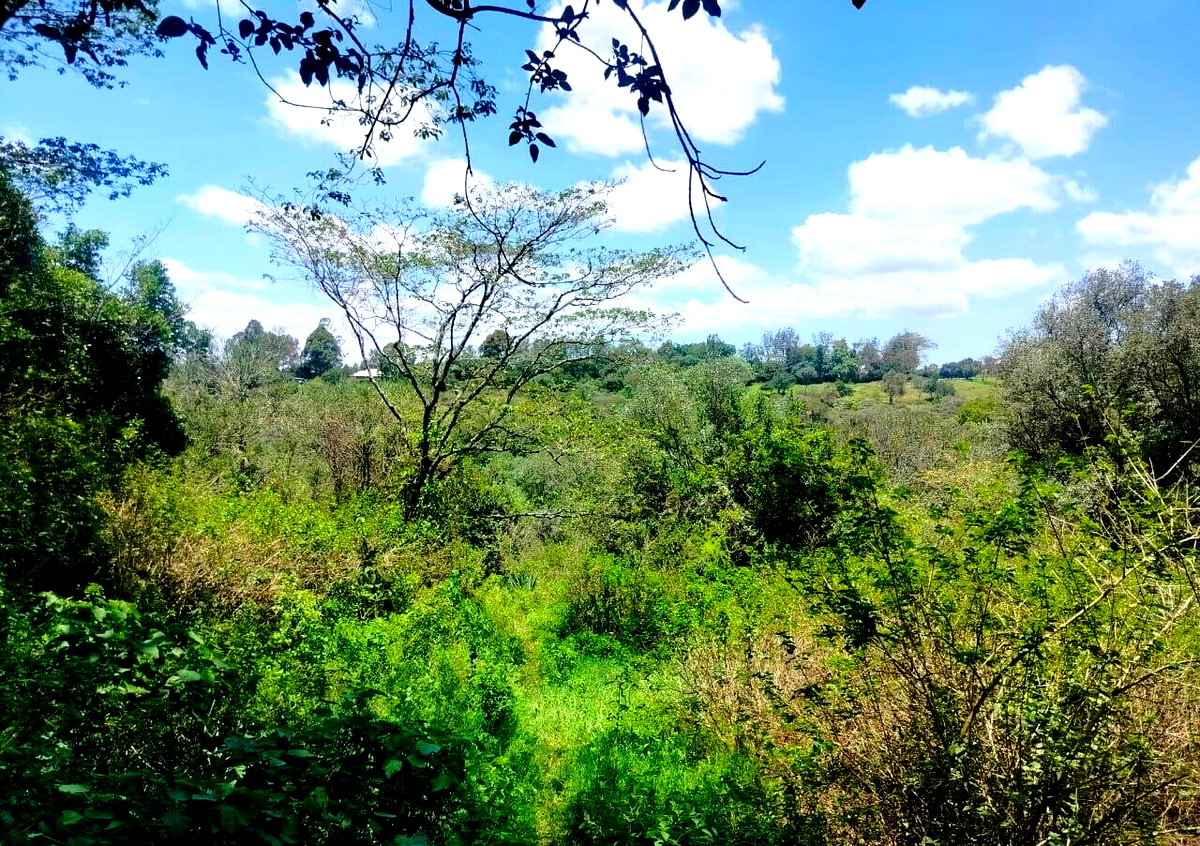 7-Acre Karen Land at KSh 490M