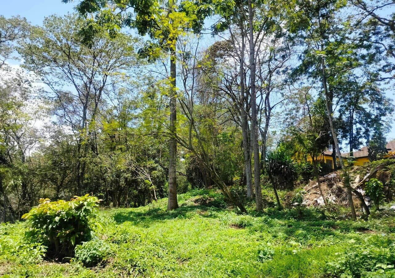 7-Acre Karen Land at KSh 490M