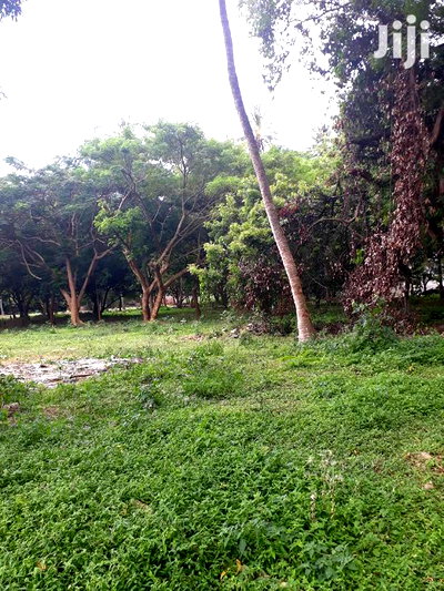 For Sale Several Quater Acre 2nd Raw Beach Plots Mtwapa. - Image 3