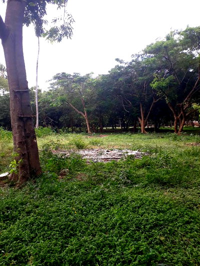 For Sale Several Quater Acre 2nd Raw Beach Plots Mtwapa. - Image 5