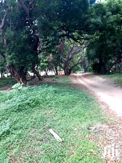 For Sale Several Quater Acre 2nd Raw Beach Plots Mtwapa. - Image 1