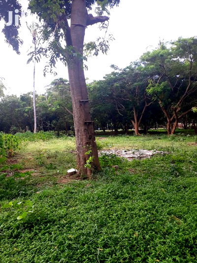 For Sale Several Quater Acre 2nd Raw Beach Plots Mtwapa. - Image 2