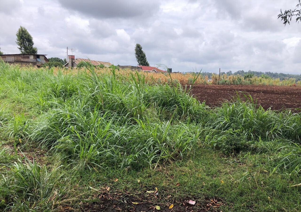 8-Acre Plot for KSh 180M in Kiambu