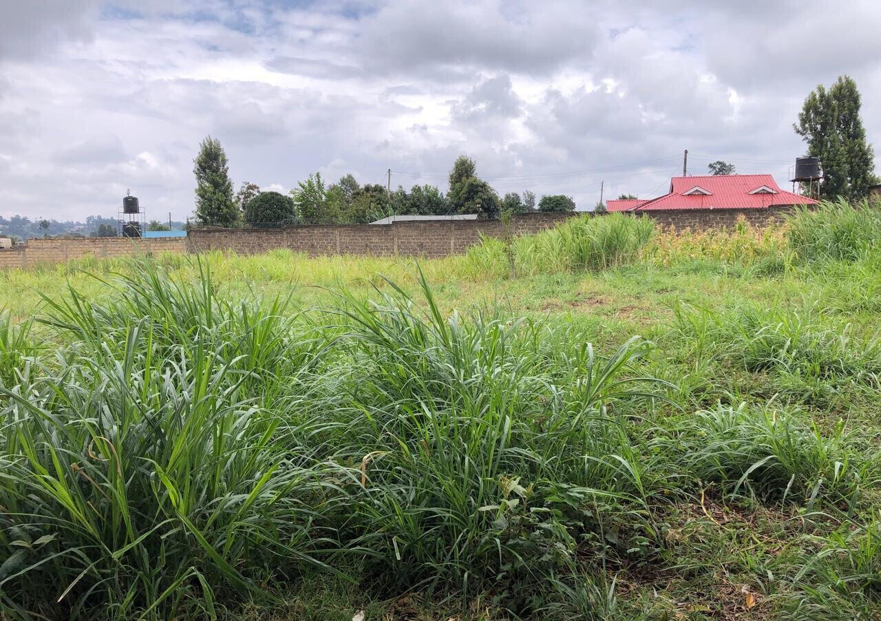 8-Acre Plot for KSh 180M in Kiambu