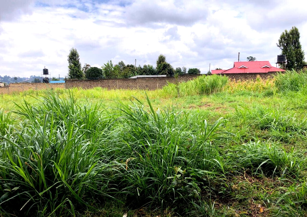 8-Acre Plot for KSh 180M in Kiambu