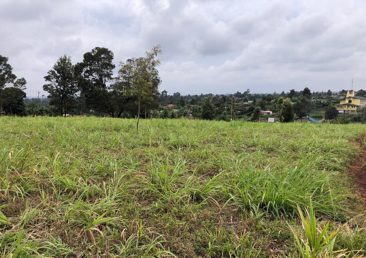 8-Acre Plot for KSh 180M in Kiambu