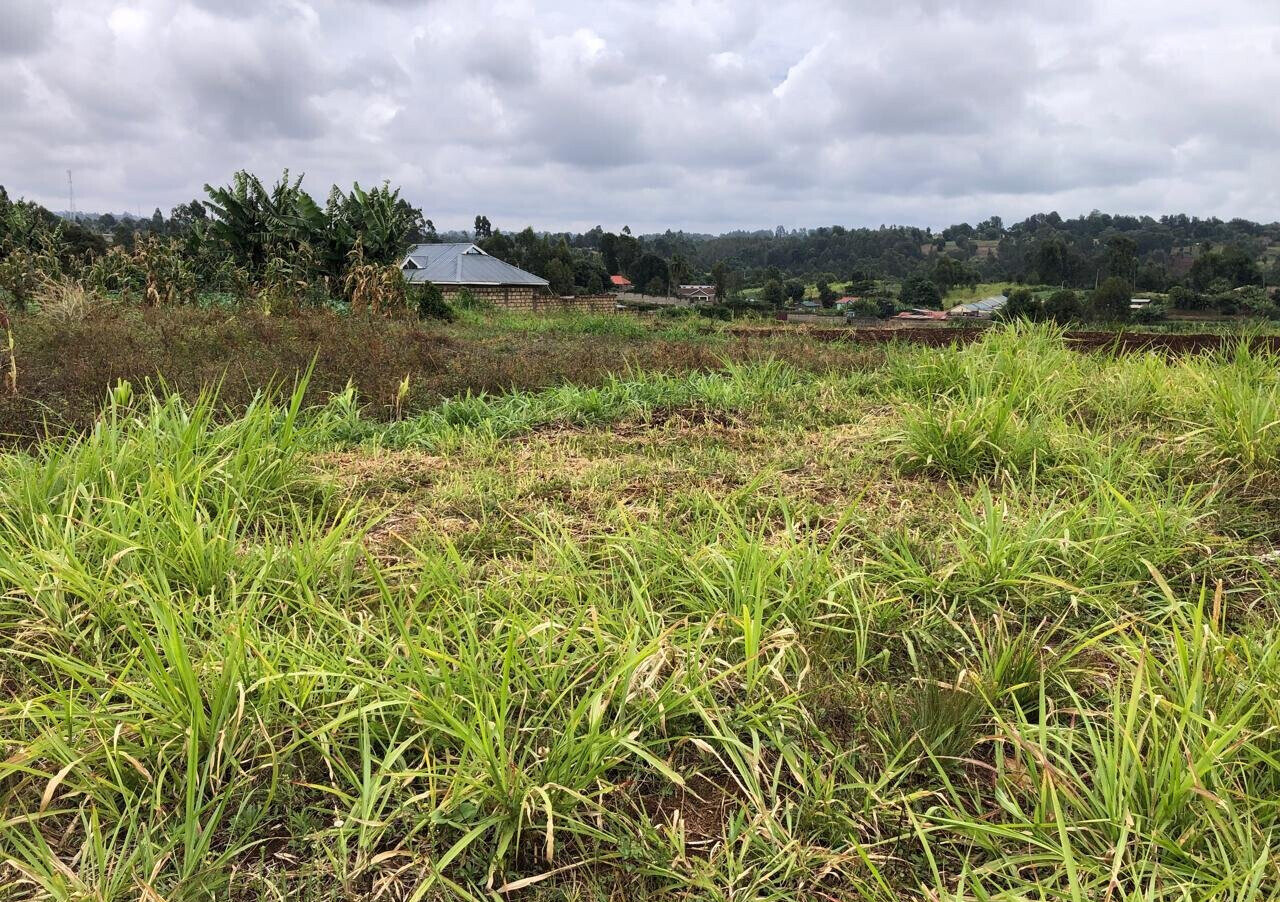 8-Acre Plot for KSh 180M in Kiambu
