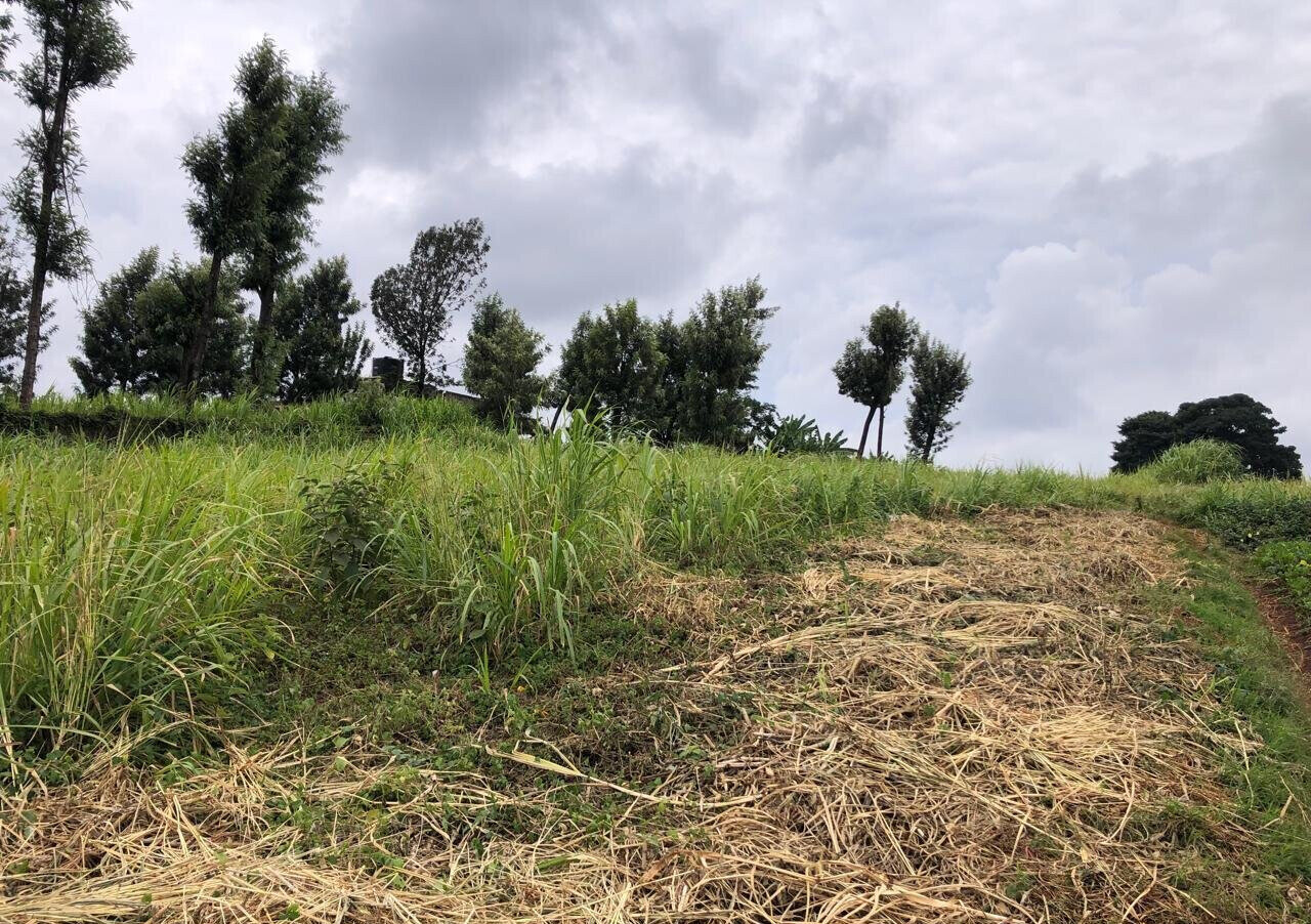 8-Acre Plot for KSh 180M in Kiambu